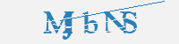 보안문자